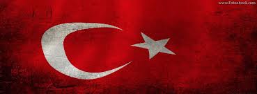 نائب رئيس الوزراء التركى: «غول» يدعم أردوغان في حال ترشحه للرئاسة