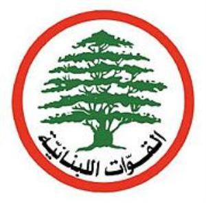 وفد من "القوات اللبنانية" يلتقي جنبلاط في كليمنصو