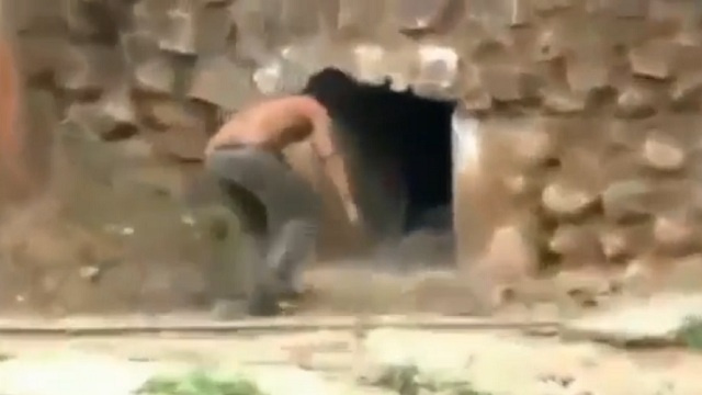 بالفيديو .. مغامر هندي يتحدى نمورا في عقر دارها


