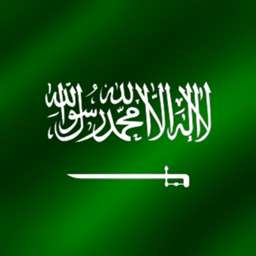 العاهل السعودي يعين الامير محمد بن سلمان وزير دولة وعضو مجلس الوزراء