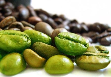 البن الأخضر .. للتنحيف والحفاظ على الحيوية