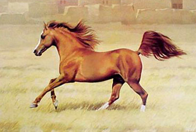 لسانك حصانك لا حمارك !!