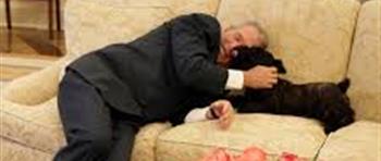 عائلة جورج بوش بحداد بعد وفاة كلبتهم