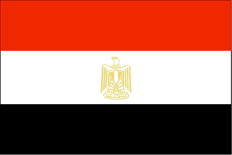 انتهاء التصويت للمصريين المغتربين وتقدم السيسي على صباحي حسب النتائج الأولية  