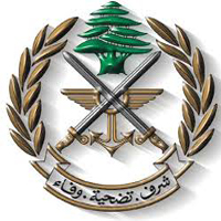 بيان للجيش عن ملابسات قنبلة الرميلة اليدوية