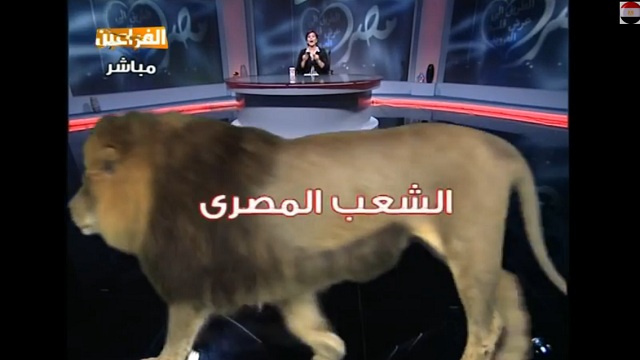 بالفيديو - قناة الفراعين تستحضر "أسدا" كرمز للشعب المصري!



