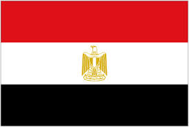 النتيجة النهائية للانتخابات المصرية: نسبة الحضور فاقت 47 %