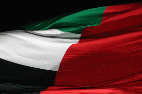 الإمارات: سنقدم العون والمساعدة للسيسي والمصريين 