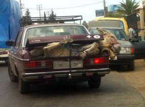 فقط في لبنان.. 