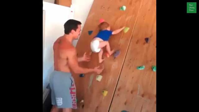 بالفيديو.. طفل في شهره العشرين يتسلق صخورا مصطنعة 


