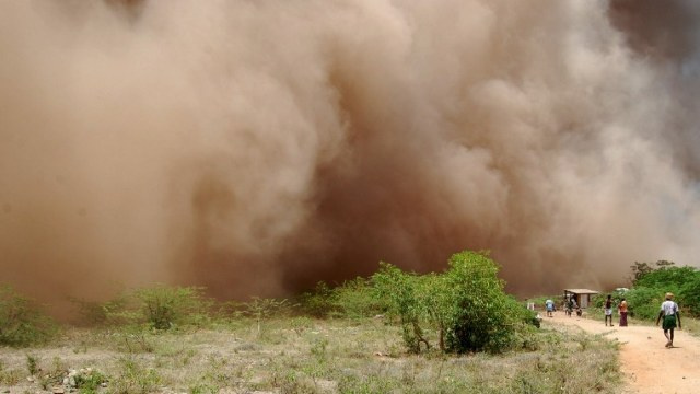 مقتل 6 أشخاص وإصابة أكثر من 30 بانفجار في مصنع صلب وسط الهند