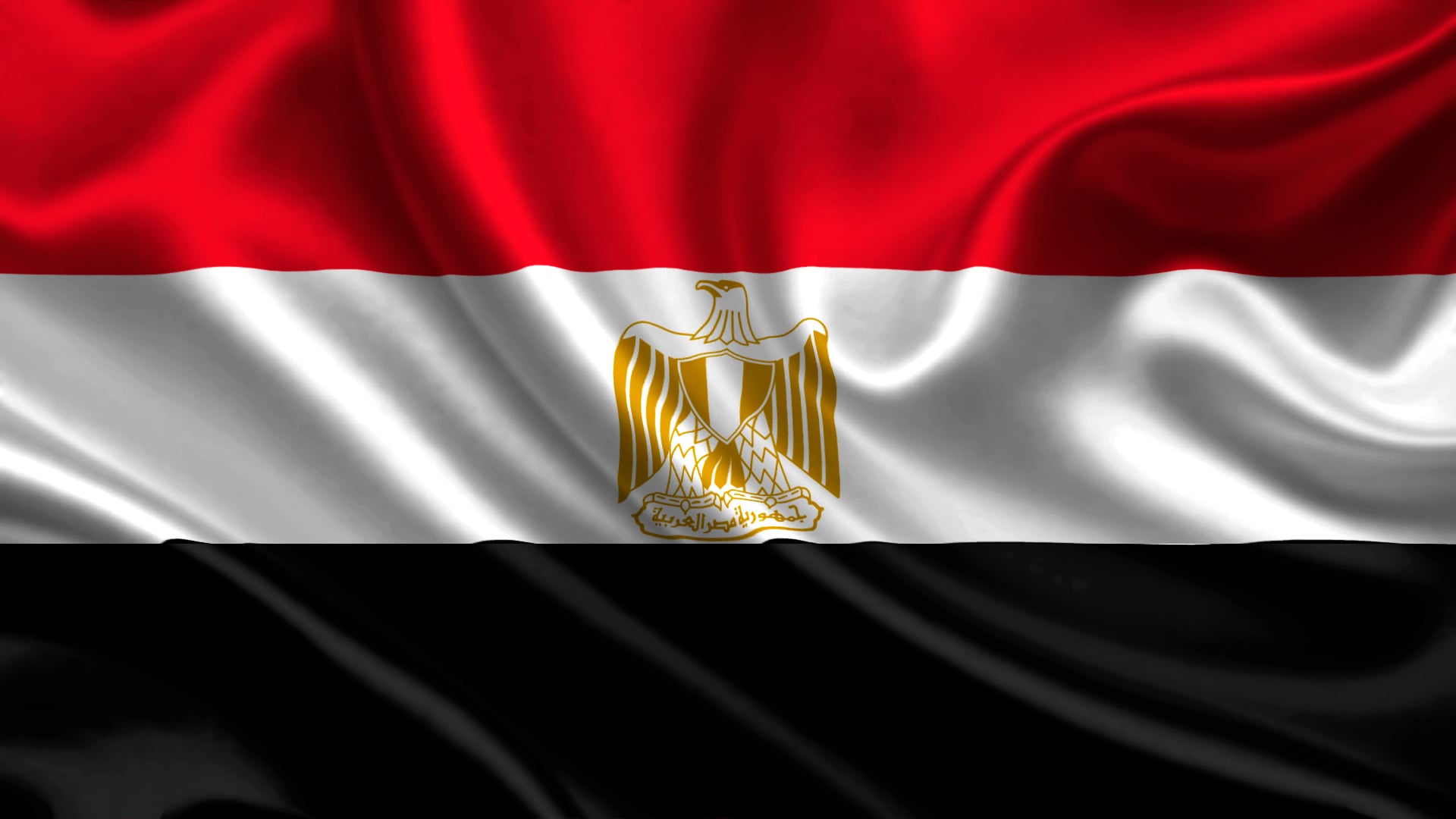 الخارجية المصرية: الإرهاب ظاهرة دولية لا دين لها ولا تعترف بأي حدود