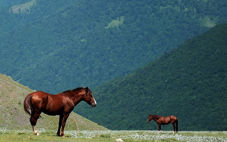 صور خلابة هل تعرف في اي دولة ؟