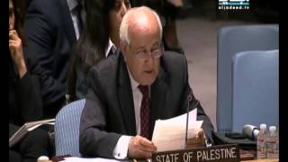 بالفيديو-مندوب فلسطين يبكي أمام مجلس الأمن الدولي !