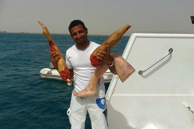بالفيديو مها أحمد تتبول لا إرادياً وكمية شتائم غير متوقعة رامز والقرش