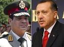 اردوغان يكيل شتائم "غير دبلوماسية" للرئيس السيسي ويصفه بالطاغية 
