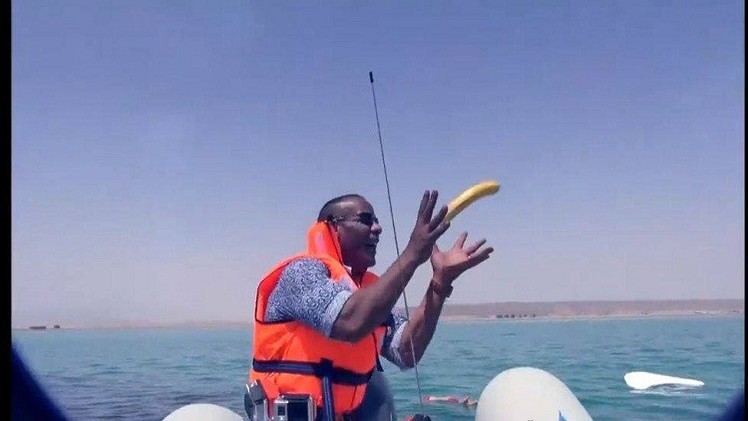 بالفيديو - رامز جلال يهدي الشحات مبروك موزة