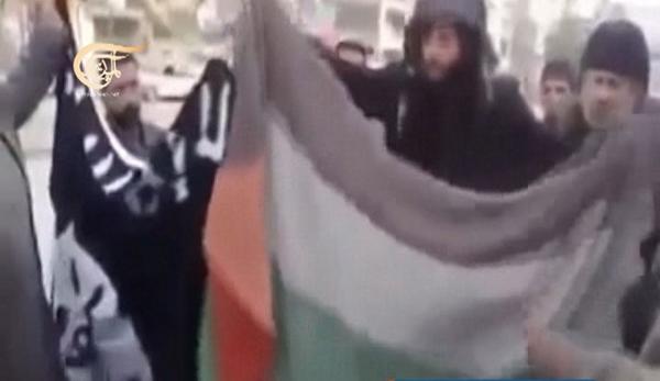 بالفيديو - 
