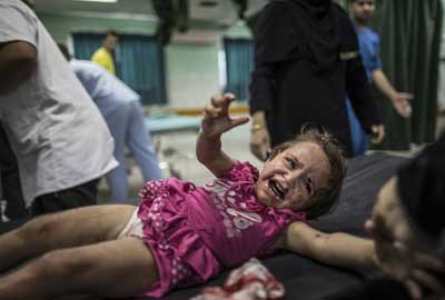 الأسد الفلسطيني