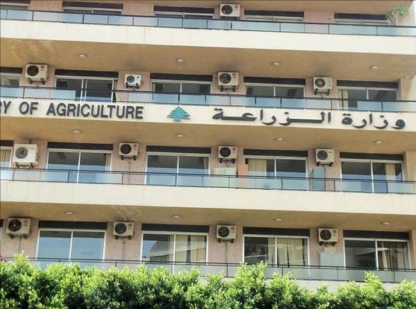 وزير الزراعة يبحث إدخال المزارعين والصيادين في منظومة الضمان الاجتماعي