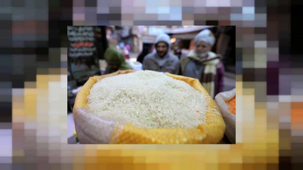 مصر تسعى لشراء أرز أبيض للشحن بين 25 تموز و20 آب