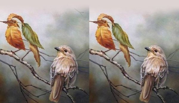 أول ما يقع نظرك عليه في هذا الرسم يكشف مصير حياتك العاطفية!