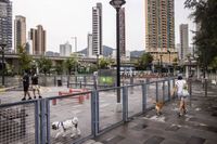 زلزال قوي هز إقليم سيتشوان في جنوب غرب الصين