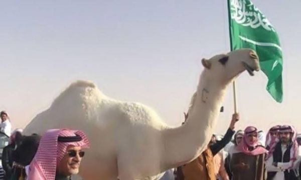 السعودية تحنط "خزامة"