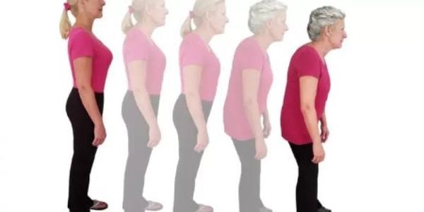 لماذا نفقد جزءًا من طولنا مع التقدم في العمر؟