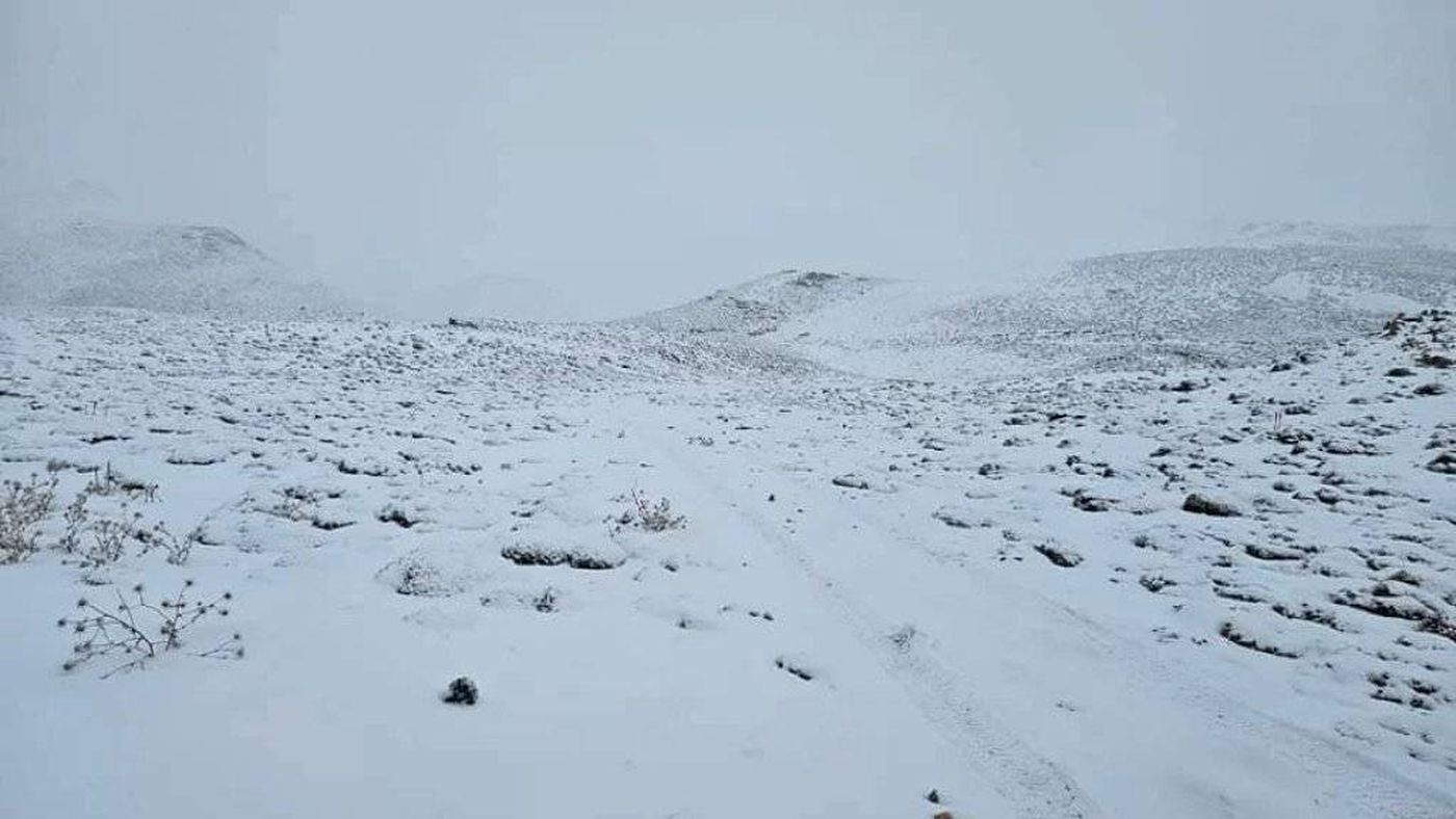 الثلوج تغطي أعالي جبل عكار