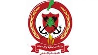 الدفاع المدني: إنقاذ 29 مدنياً من تحت الأنقاض في الدوير والنبطية