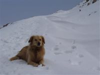 ثلوج الكنَيْسة لا تبدد هواجس المزارعين