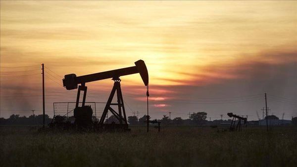 تراجع أسعار النفط.. ما علاقة سعر الفائدة بالولايات المتحدة؟