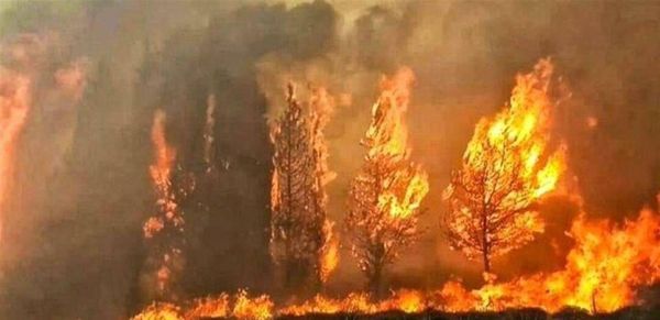 رئيس البلدية يرفع الصوت.. الحريق في مزرعة الضهر مفتعل!