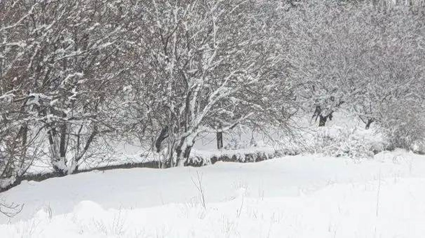 الثلوج تغطي بلدات قضاء بعلبك