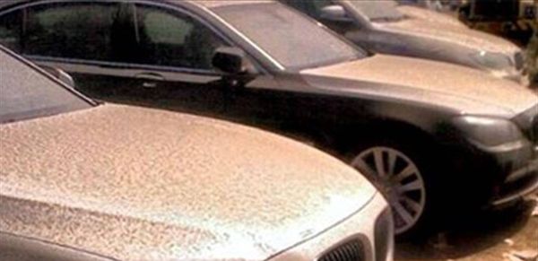 وسيط تهريب السيارات من لبنان إلى سوريا بقبضة قوى الأمن!
