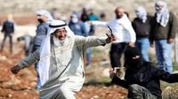 قوات الاحتلال تعتقل 