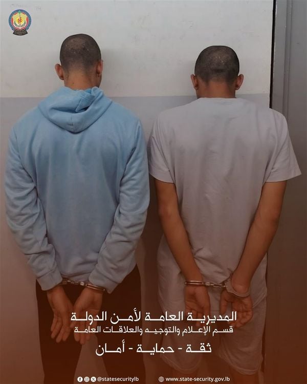 محاولة احتيال بـ6 ملايين دولار.. أمن الدولة يوقف مشتبه بهما ويضبط وثائق مزوّرة