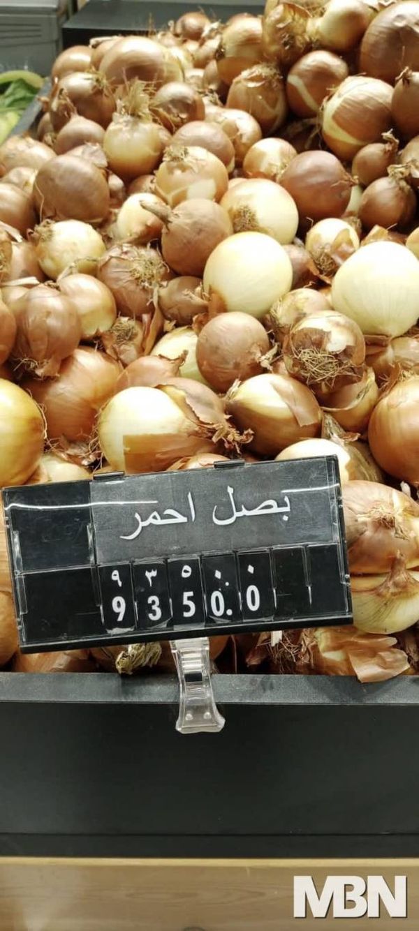 أزمة البصل لا تزال مستمرّة.. والدّولار "بقشرة بصلة"

الترشيشي: بعد شهر ونصف ستتحسن الأسعار وسيزدهر الإنتاج في عكار