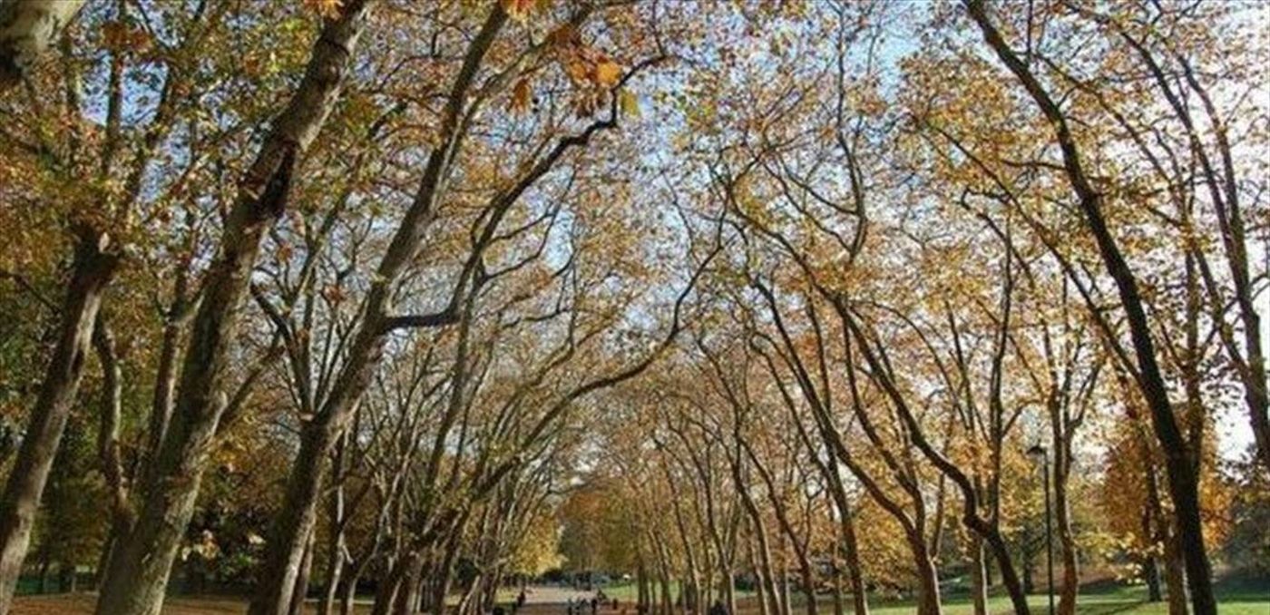 فصل دراسي في الهواء الطلق... اليكم التفاصيل