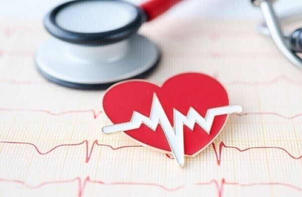 دراسة جديدة تُثبت قدرة القلب على التجدد بعد النوبات