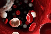 أمل جديد لمرضى سرطان الدّم