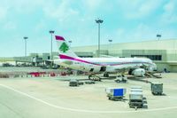 الحوت عن أسعار تذاكر السفر في لبنان: يحددها السوق