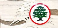 بعد الإعتذار عن عدم المشاركة في عشاء السفارة السويسرية.. "القوات" تكشف عن الأسباب