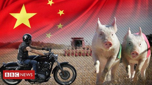 Why China is targeting US hogs and Harleys
