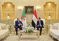 مصر: حل أزمة ليبيا ينبع من الشعب