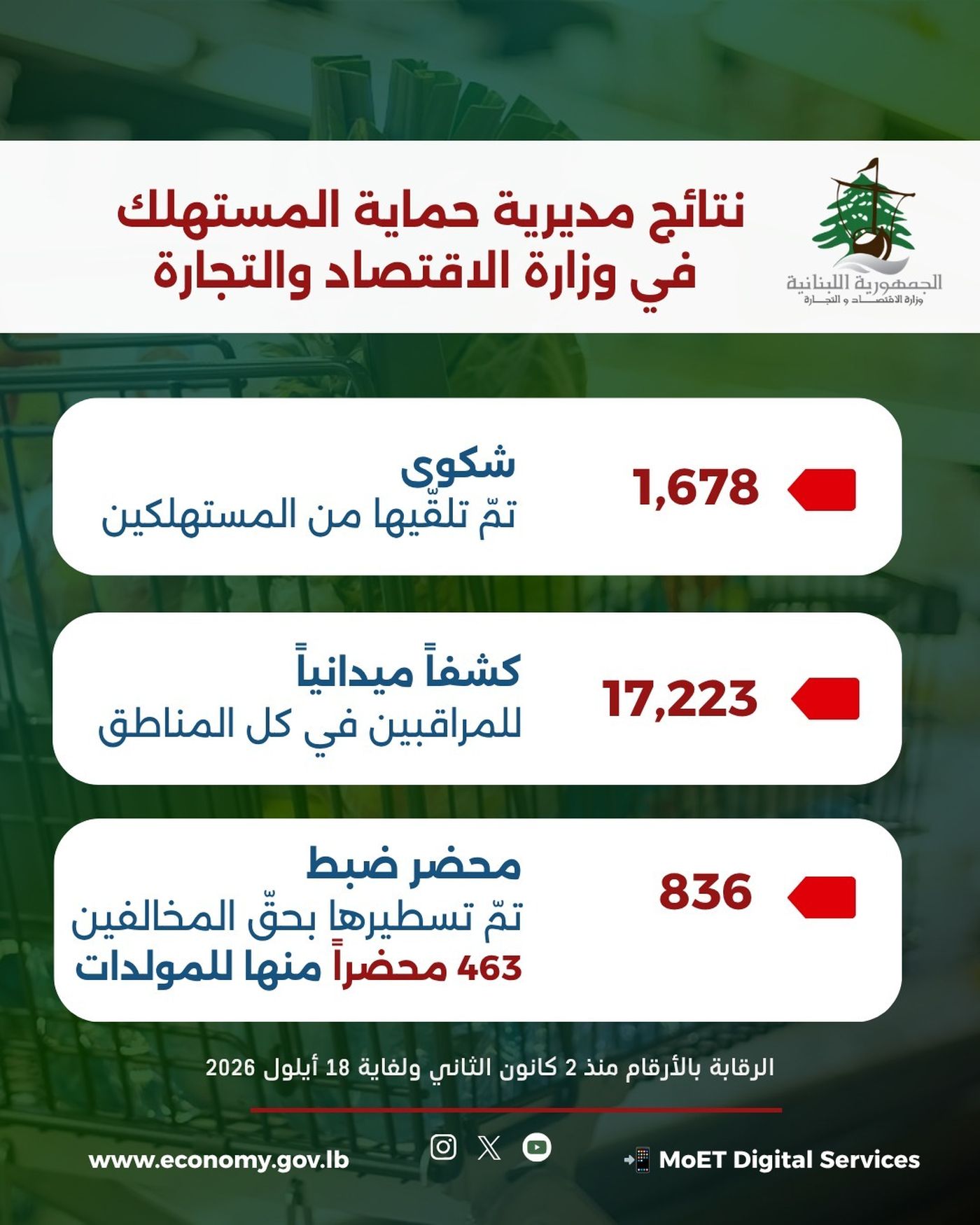 حماية المستهلك تنفّذ أكثر من 17 ألف كشف منذ بداية العام... و836 محضر ضبط بحق المخالفين