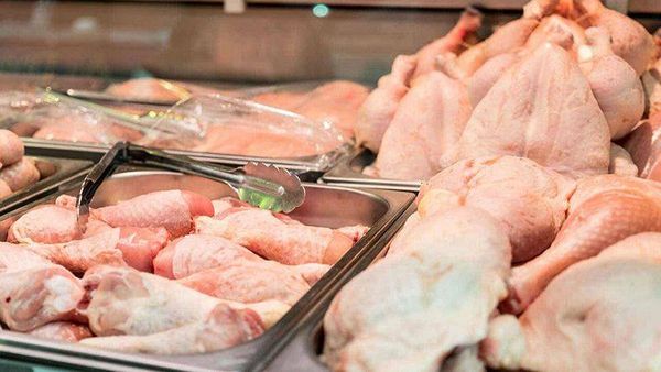بطرس: لحماية قطاع الدواجن والحفاظ على انتاجيته
