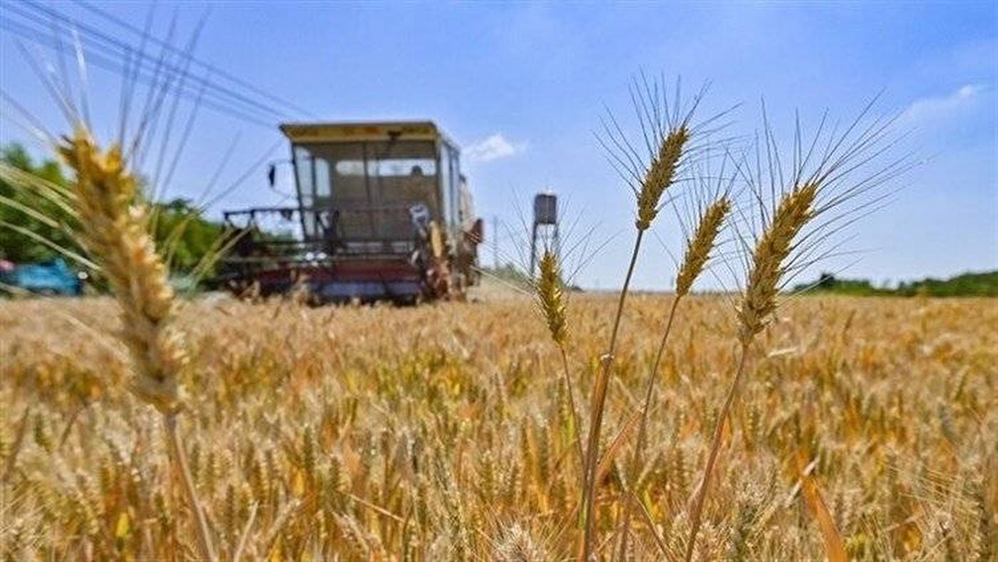 الاتحاد الأوروبي يخطط لإلغاء تجميد بعض موارد البنوك الروسية والسبب؟
