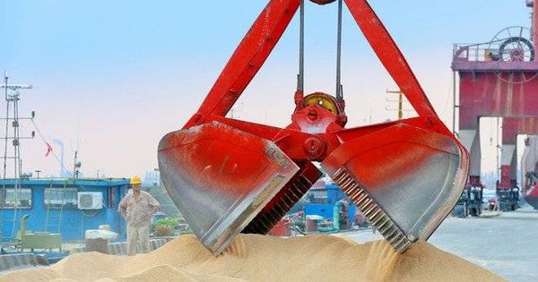 في بادرة حسن نية.. الصين تشتري كمية من فول الصويا الأمريكي